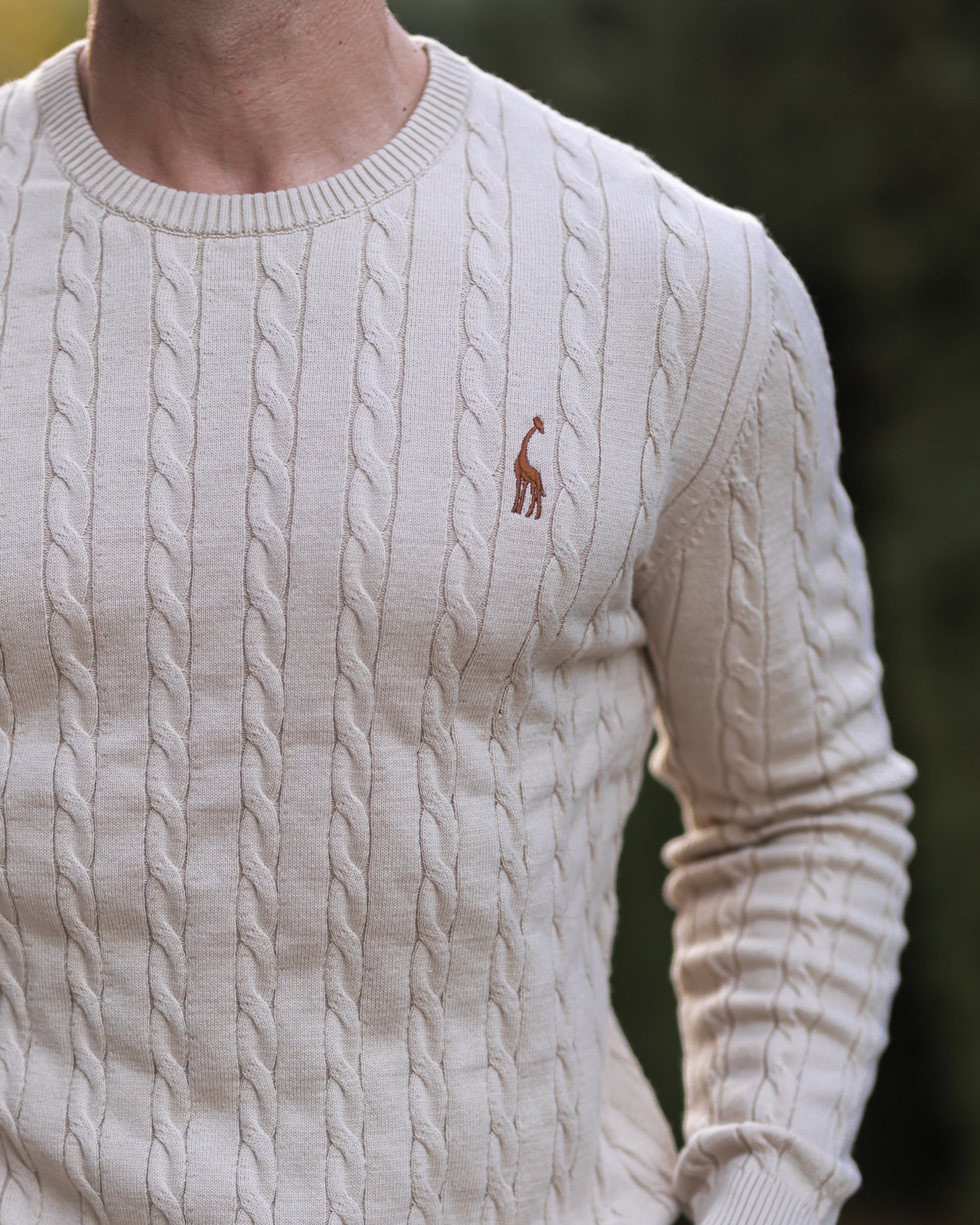 Men's Cable Knit Sweater 1