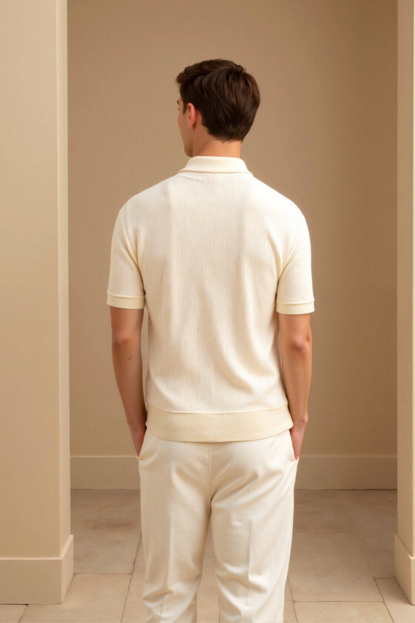 Men's V-Neck Short Sleeve Polo Shirt 2