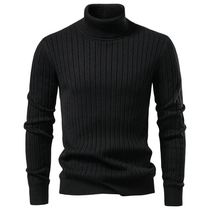 Men's Striped Turtleneck Sweater 8